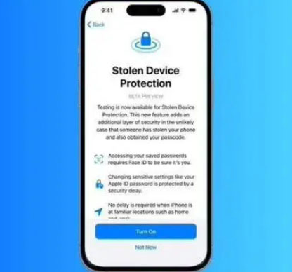 上杭苹果授权维修店分享被盗设备保护功能开启方法 