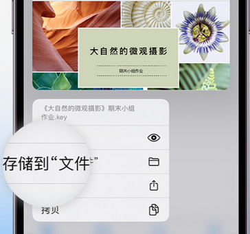 上杭apple维修中心分享iPhone文件应用中存储和找到下载文件