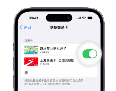 上杭apple维修点分享iPhone上更换Apple Pay快捷交通卡手绘卡面 