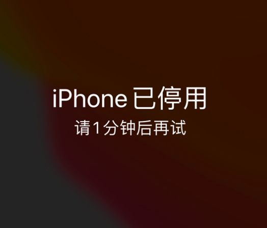 上杭苹果手机维修分享:iPhone 显示“不可用”或“已停用”怎么办？还能保留数据吗？ 