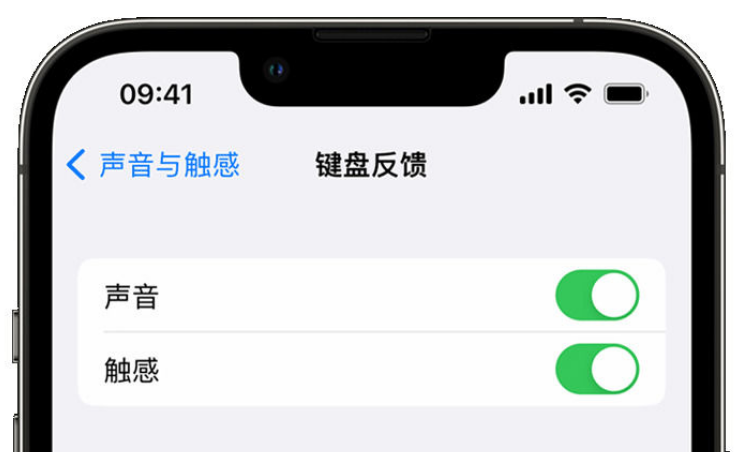 上杭苹果手机维修分享iPhone 14触感键盘使用方法 