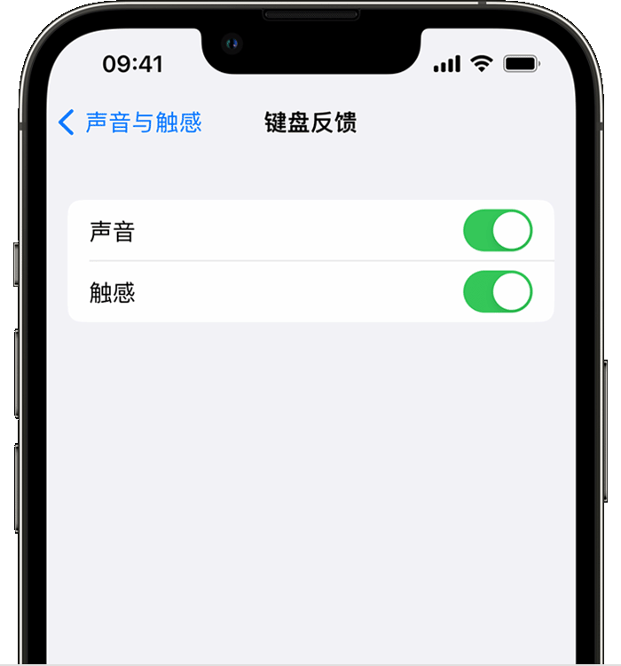 上杭苹果14维修店分享如何在 iPhone 14 机型中使用触感键盘 