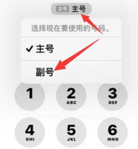 上杭苹果14维修店分享iPhone 14 Pro Max使用副卡打电话的方法 