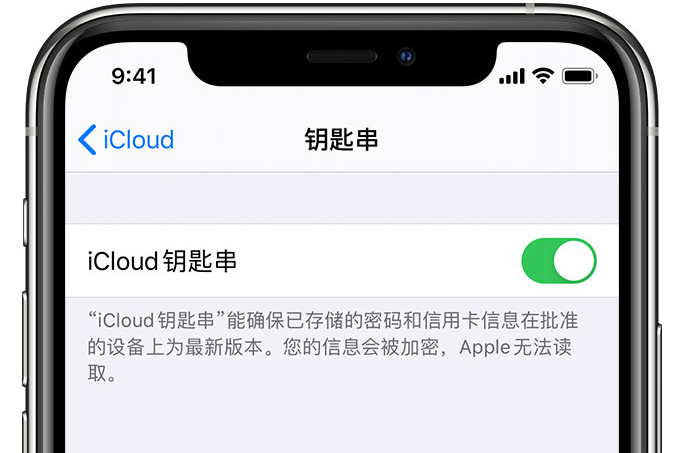 上杭苹果手机维修分享在 iPhone 上开启 iCloud 钥匙串之后会储存哪些信息 