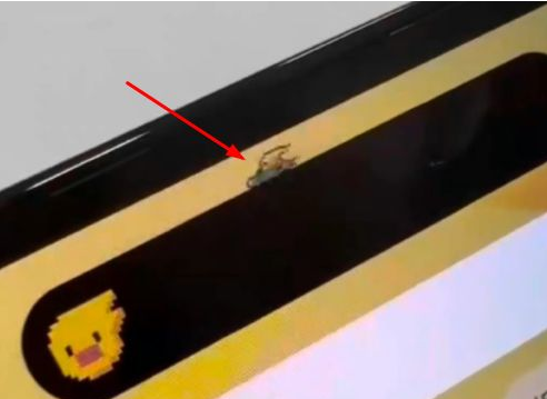 上杭苹果14维修分享iPhone 14 Pro Max灵动岛怎么养宠物 
