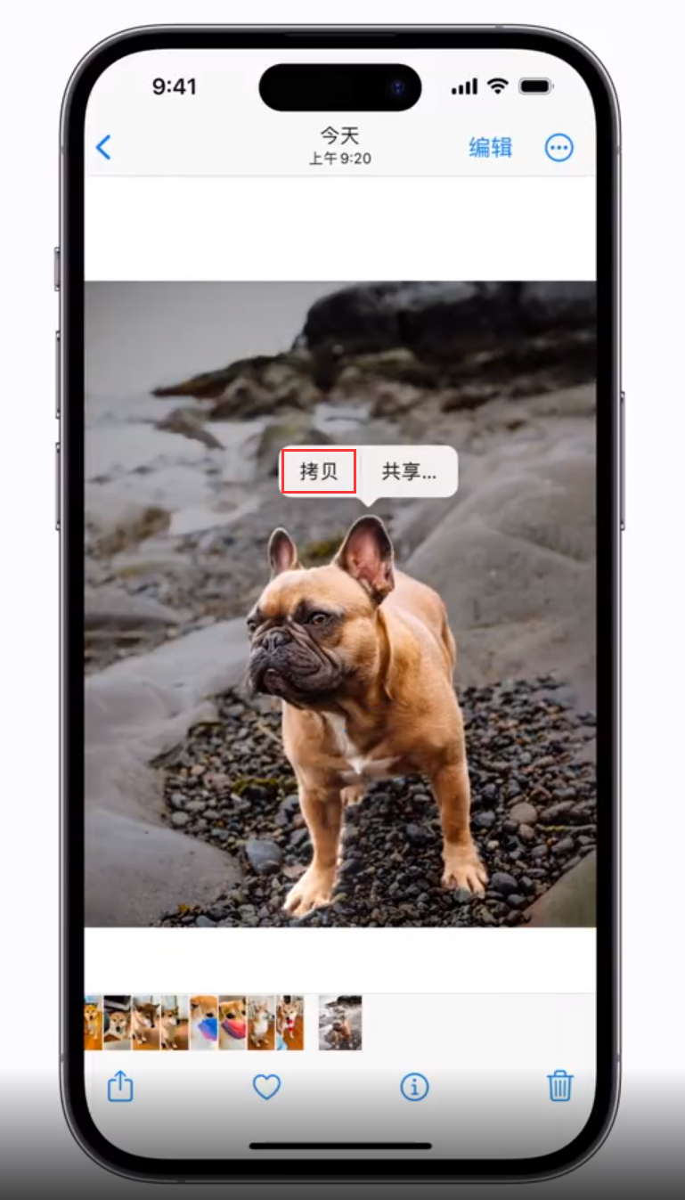 上杭苹果手机维修分享 iOS 16 自带一键抠图功能 