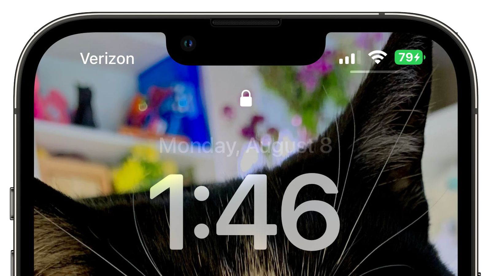上杭苹果手机维修分享iOS 16 beta 5 支持状态栏显示电池百分比，如何开启？支持哪些机型 