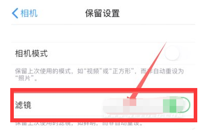 上杭苹果13维修分享iPhone13拍照有绿点是怎么回事 